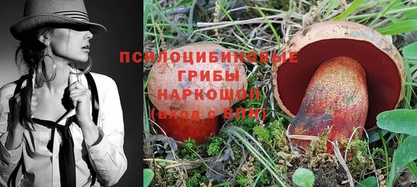 MESCALINE Алзамай