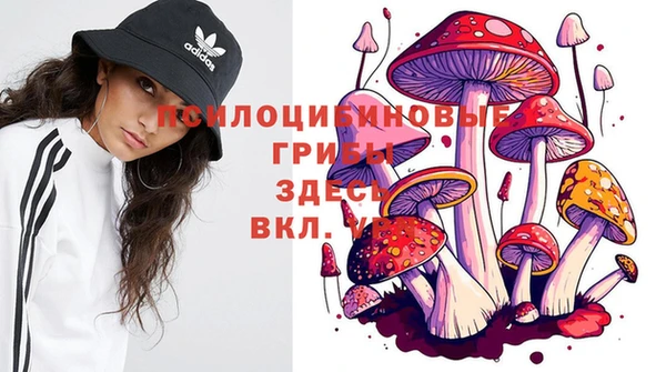 винт Алексин