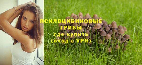 MESCALINE Алзамай