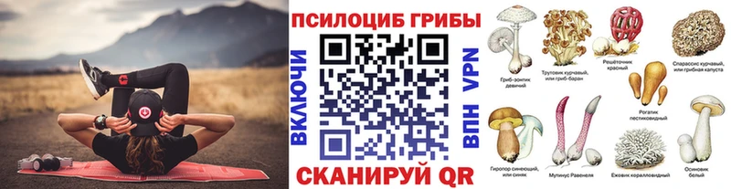 кракен tor  Красногорск  Галлюциногенные грибы мицелий 